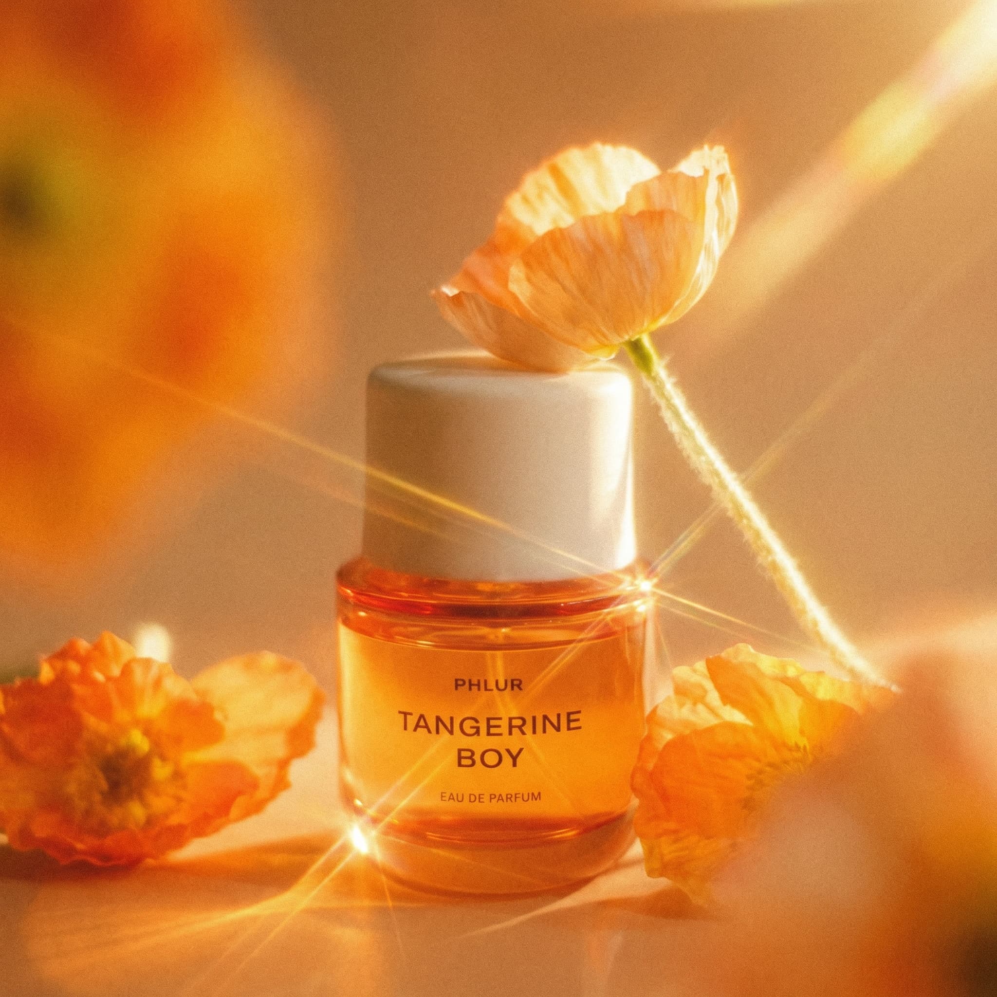A warm and dreamy fragrance product photograph bathed in golden hour light. A compact PHLUR 'TANGERINE BOY' eau de parfum bottle sits center-frame, filled with vibrant orange-amber liquid. The bottle has a clean white dome cap and bold black typography on the label. Surrounding it are delicate orange poppy flowers—one perched atop the bottle cap, others scattered around in soft focus—with translucent papery petals glowing in the warm light. The entire composition is immersed in a peachy-orange gradient background that transitions from bright tangerine to soft coral, creating a monochromatic, sunset-like atmosphere. The lighting is soft and hazy, with a dreamy glow that makes everything feel sun-drenched and ethereal. The mood is joyful, warm, and nostalgic—evoking summer days and citrus groves. The color palette is rich and monochromatic: bright tangerine, peachy coral, golden amber, soft white, with subtle green stems. The aesthetic is editorial with a romantic, film-like quality—soft focus meets vibrant color. Focus is centered on the bottle with a beautiful bokeh effect on the flowers.