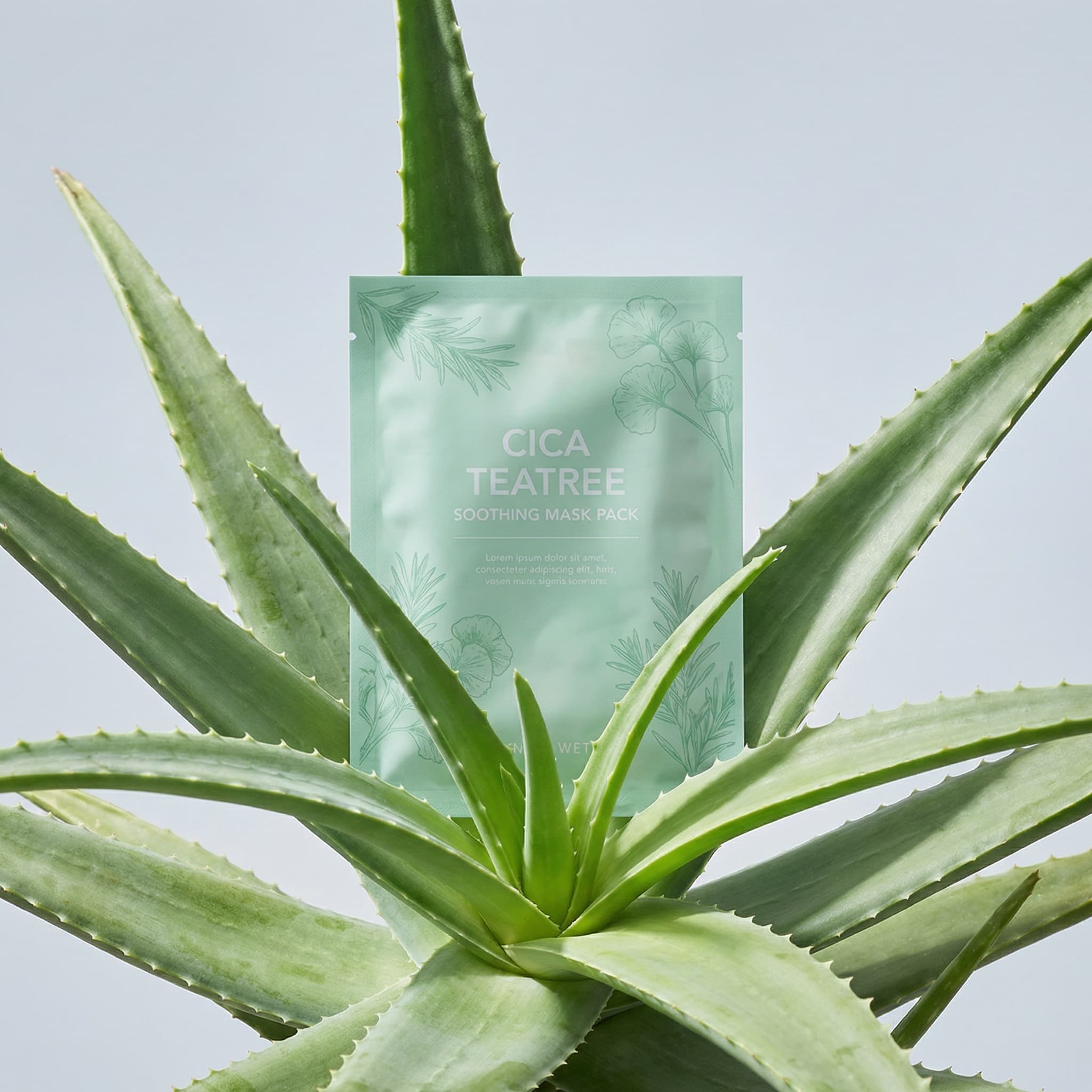 A fresh and organic beauty product photograph celebrating botanical ingredients. A translucent mint-green sheet mask package is nestled naturally in the center of a live aloe vera plant, cradled between its thick, spiky leaves. The aloe's characteristic serrated edges and fleshy green leaves radiate outward from the center, creating a natural star-burst composition. The sheet mask package has subtle typography and branding visible through the frosted material. The plant's leaves show natural texture and gradients from sage green to brighter lime at the edges. Shot from slightly above against a soft pale gray-blue background with gentle natural lighting that casts subtle shadows. The composition is organic and botanical, directly connecting the product to its natural source. The mood is pure, fresh, and ingredient-focused—evoking clean beauty and plant-based skincare. The color palette is cool and natural: mint-green package, sage and lime aloe leaves, soft gray-blue sky background. The aesthetic is clean beauty editorial—honest, transparent, and nature-inspired. Focus is balanced between the package and the surrounding aloe leaves.